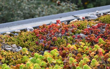 the cost of Rhydygele green roof installation