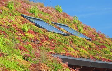 Rhydygele living roof systems