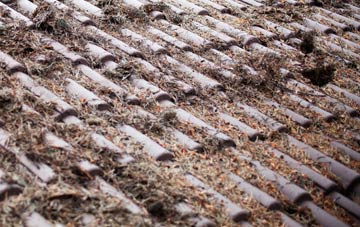 Rhydygele roof cleaning companies