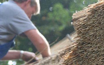 professional Rhydygele thatchers