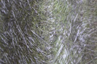 Rhydygele fibreglass roof work